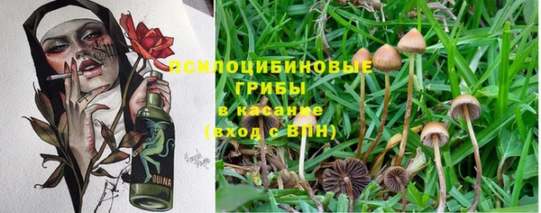 гашик Коряжма