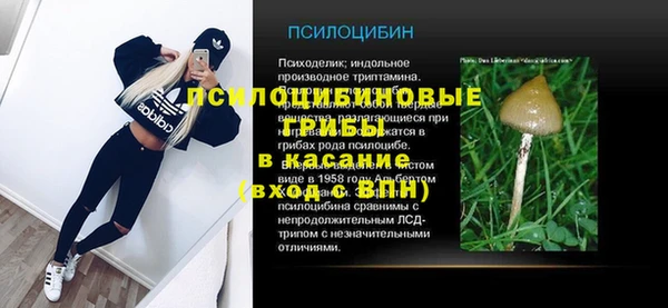 мяу мяу мука Беломорск